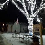 brightly lit tree in a park next to a small white house